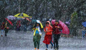 Himachal Punjab Haryana Weather Alert.