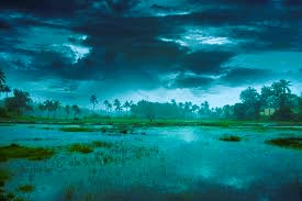 MANSOON