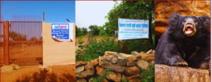 Mirzapur Adani Thermal Power Plant