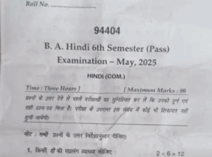 Haryana Paper Leak