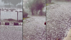 Rain In Haryana