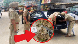 Terror Module Busted in Punjab