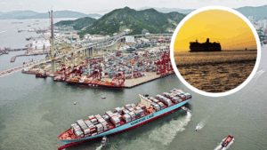 Career in Merchant Navy
