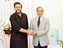 shahid Afridi