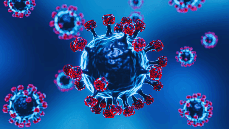 Haryana Corona Breaking