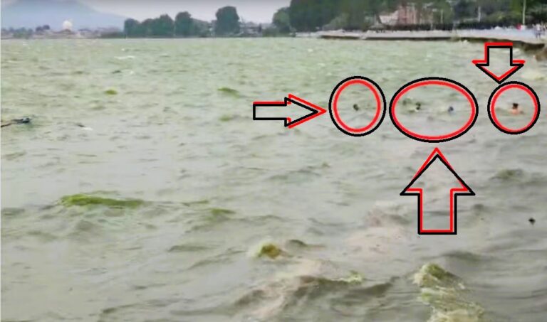 SHRINAGAR DAL LAKE ACCIDENT