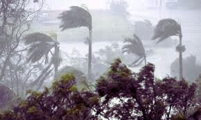 Rain Disaster In Haryana