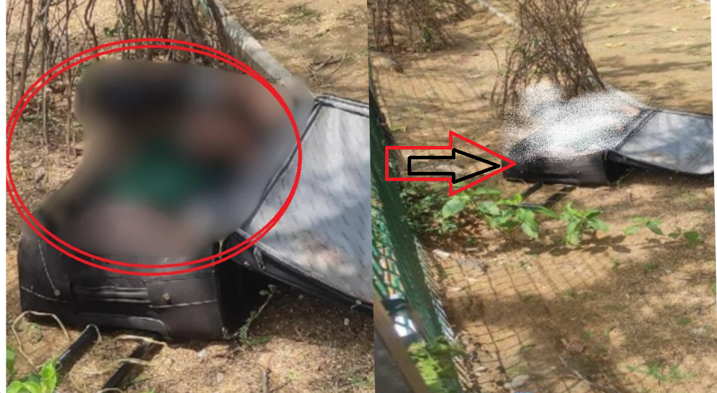 gurugram news:women body found in trolly bag