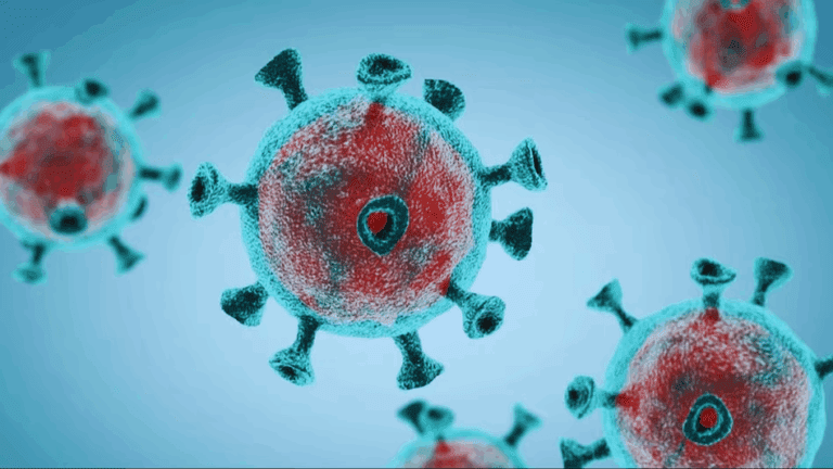 Haryana Corona Update