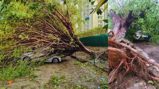 Rain Disaster In Haryana