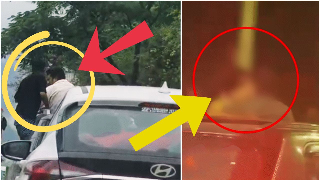 Himachal Tourist News: