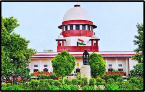 SC Stray Dogs Verdict.