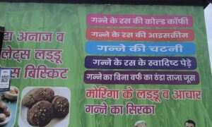 Sugarcane Innovation Baghpat