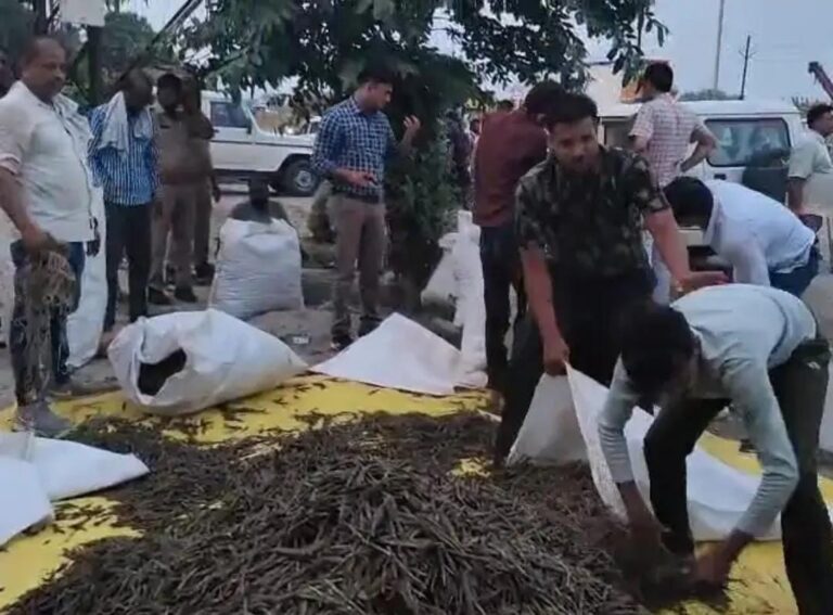 Mathura News: कंटेनर में 1.5 करोड़ का गांजा