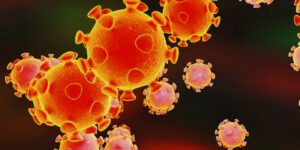 Haryana Corona Update