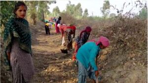 Manrega Women Power-पीलीभीत में नाला नहीं, आत्मनिर्भरता बहा रही है महिलाएं