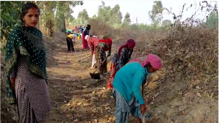 Manrega Women Power-पीलीभीत में नाला नहीं, आत्मनिर्भरता बहा रही है महिलाएं