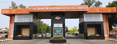 Hisar University Lathicharge.