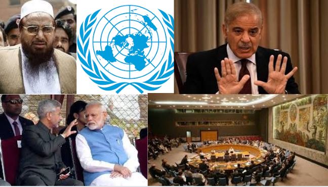Pakistan UNSC Role
