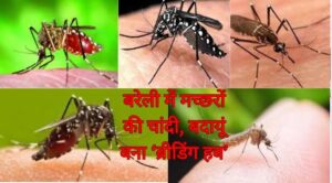 Pilibhit malaria-पीलीभीत में मलेरिया मच्छरों का बढ़ा आतंक!