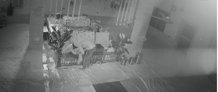 Gurudwara Theft-सहारनपुर