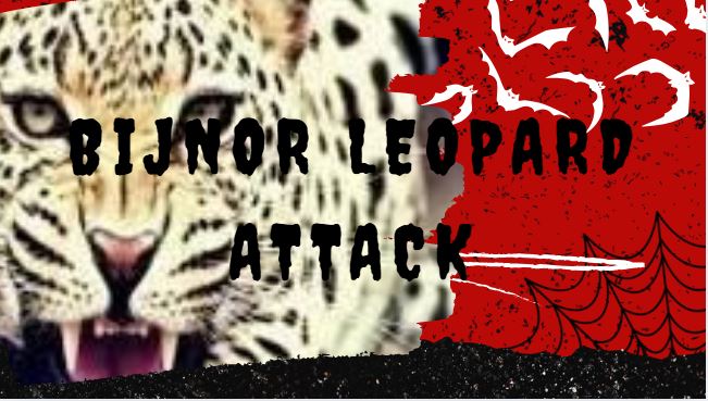 Bijnor Leopard Attack
