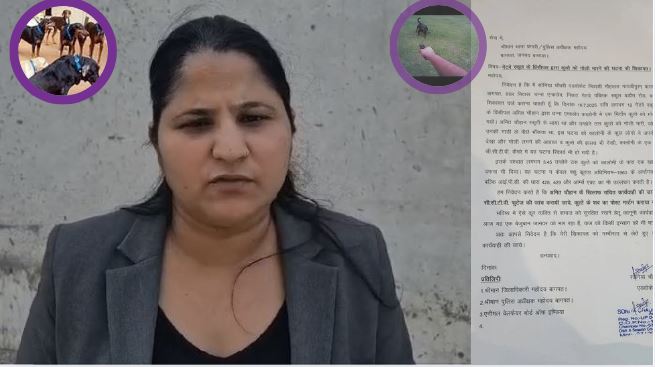 Pet Dog Shot - Baghpat News