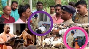 Operation Langda Moradabad: योगी का ऑपरेशन, कसाई लंगड़ा!