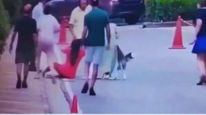 Pet Dog Attacked Woman. गुरुग्राम में मुश्किल से बची महिला की जान. पालतू कुत्ते ने बुरी तरह दबोचा… Morning Walk के दौरान हादसा. CCTV में कैद घटना, लोगों में गुस्सा