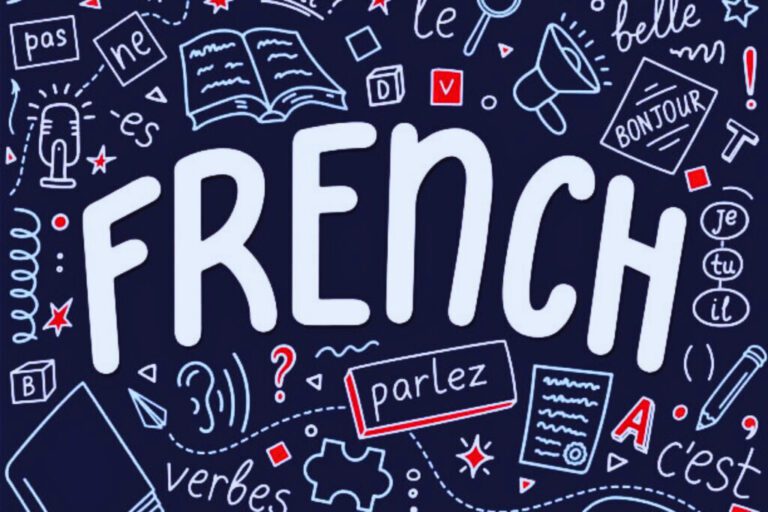 French Languange In Govt. School.