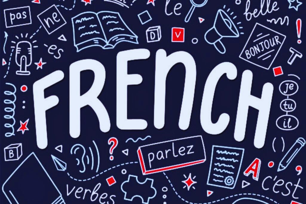 French Languange In Govt. School.