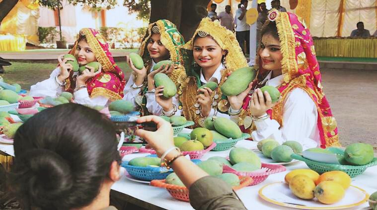 Haryana Pinjore Mango Fair.