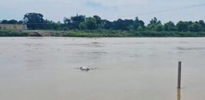 Nepal Ne Choda Pani.