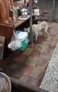 Zam Zam Sweet Shop Viral video