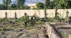 Gonda News: करनैलगंज में बड़ा संकट, बेलगाम माफिया, सुस्त सिस्टम, कब होगा समाधान ?