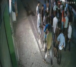 Sambhal Stray Animal Attack