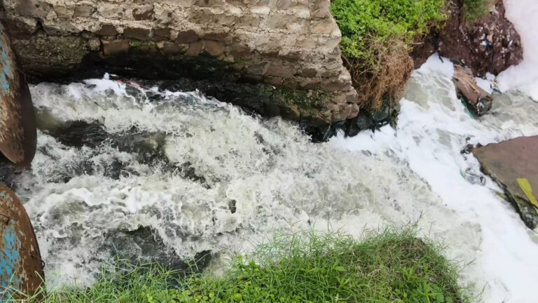 Banda Dirty Water Scam