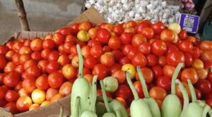 Sabji Price Hike: बुलंदशहर