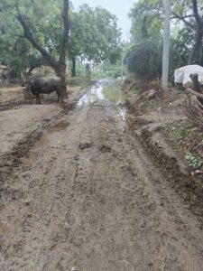 Banda News: बांदा में 'विकास' तो कीचड़ में जमकर गोते लगा रहा है !