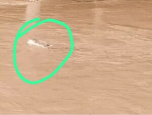 North India Rain Disaster.