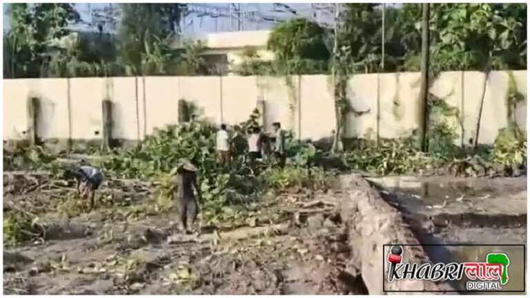 Gonda News: करनैलगंज में बड़ा संकट, बेलगाम माफिया, सुस्त सिस्टम, कब होगा समाधान ?