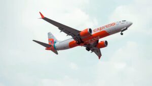 Air India Express: जब आसमान में 30,000 फीट की ऊंचाई पर पैदा हुआ बच्चा...