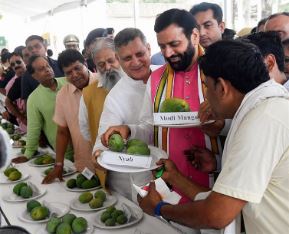 Haryana Pinjore Mango Fair.