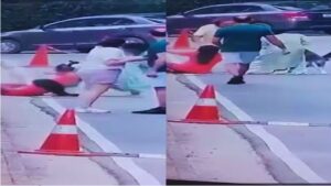 Pet Dog Attacked Woman.