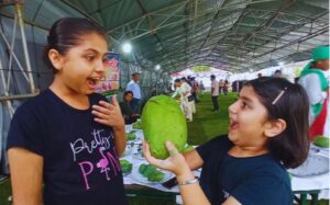 Haryana Pinjore Mango Fair.