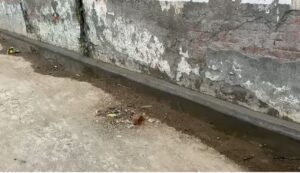 Saharanpur News: नई सड़क उखड़ने लगी, ये क्या हो रहा है, 'विकास' पगला गया क्या ?