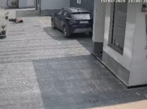 Intern Dies While Taking Selfie.