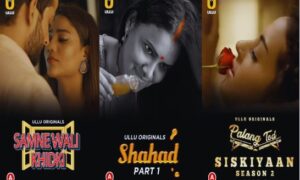 Ullu Altt OTT Apps Ban.