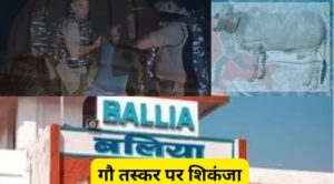 Cow Smuggler Encounter Ballia