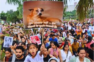 Supreme Court On Stray Dogs.